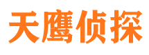 带岭市侦探调查公司